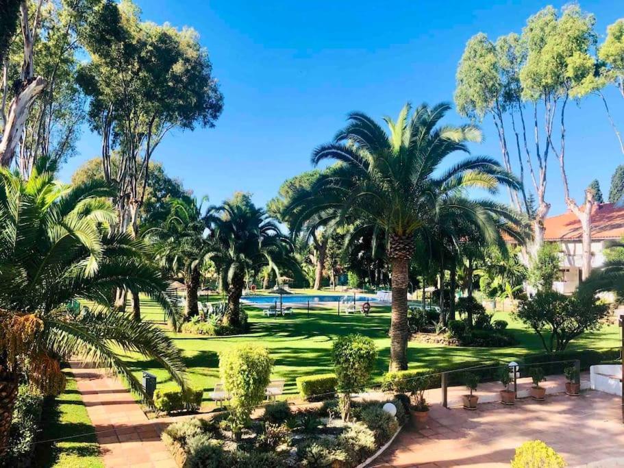 Puerto Banus Eddie Suite ماربيا المظهر الخارجي الصورة