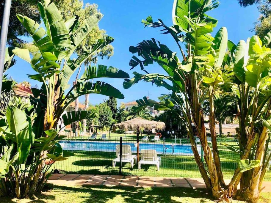 Puerto Banus Eddie Suite ماربيا المظهر الخارجي الصورة